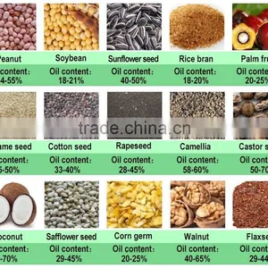 Stainless Steel Cotton Oil Processing Machine thumbnail-1