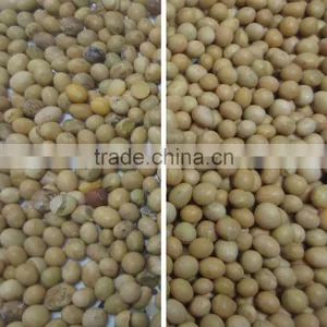 2017 New Products Soybean Color Sorter Machine thumbnail-2