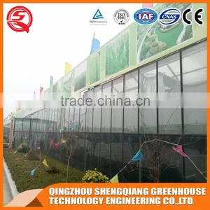 China Venlo Glass Greenhouse/greenhouse Steel Frame Planting Grows thumbnail-4