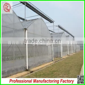 Hot Sale Multi-span Plastic 9.6m PE Plastic Film Agriculture Greenhouse for Garden thumbnail-6