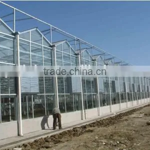 Large Size Commercial Glass Greenhouse for Sale thumbnail-1