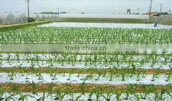 Greenhouse Shrink Film/mulch Shrink Film thumbnail-1