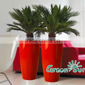 Beautiful Large Waterproof PP Plastic Flower Pots thumbnail-3