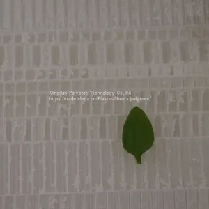 PP Honeycomb Act as Enforced Strength Material in Transportation Field thumbnail-3