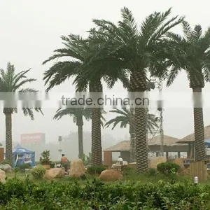2015 Hot Sale Artificial Date Palm Tree Plastic Palm Tree Sale thumbnail-1