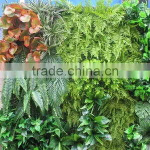 Plastic Green Wall for Living Room Decoration,mini Green Wall Interior Decoration thumbnail-4