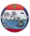 Beach Volley Balls thumbnail-1