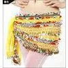 Embroidered Chiffon Hip Scarves for Belly Dance in Performance or Practice thumbnail-1