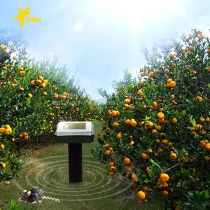 Solar Sonic Vibration Mole Rat Rodent Repellent thumbnail-3