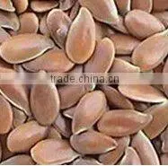 China Organic Flax Seed/linseed thumbnail-1