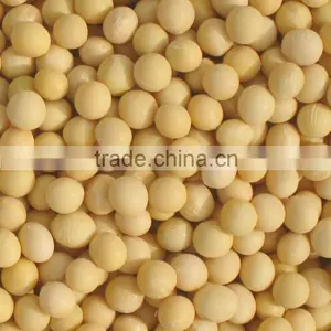 MON-GMO Soybeans thumbnail-2