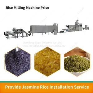 Nutrition Rice Machine Instant Rice Processing Line Artificial Instant Rice Food Machine thumbnail-4