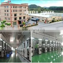 Dongguan Auspicious Industrial Co., Ltd. company overview - view 1 thumbnail