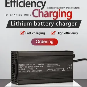 48V LiFePO4 charger (3)