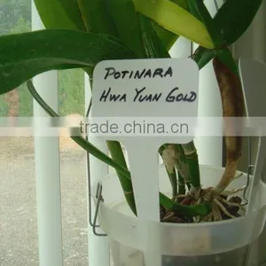 Plastic Planter Label thumbnail-1