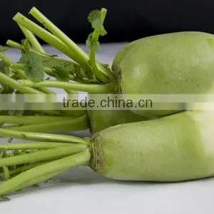 Onion and Pepper Cutting Machine|Ginger and Banana Slicing Machine thumbnail-4