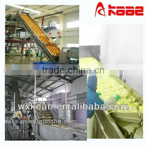 Hot Sale High Automatic Fruit and Vegetable Cleaning Line thumbnail-1