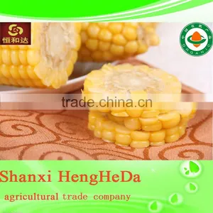 High Quality Yellow Corn for Animal Feed. Maize. Canned Corn thumbnail-1
