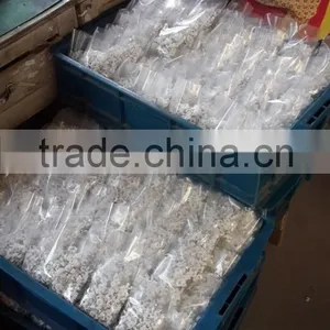 Supply Nail Wire Clips/ Round Plastic Cable Clips/nail Cable Clamps 12mm thumbnail-2