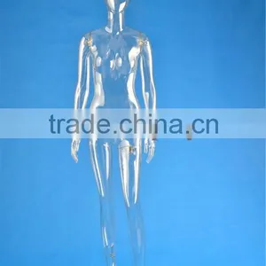 Full Body Transparent Mannequin thumbnail-2