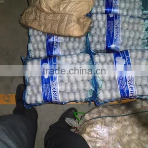 Brand New New Chinese Fresh Pure White Garlic With Great Price thumbnail-2