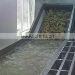 MXJ Hair Brush Fruit Cleaner for Jam Production Line thumbnail-3