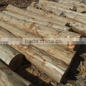 Pine or Birch Wood Logs thumbnail-1