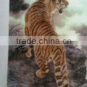 Customized Pet Nonwoven Fabric Heat Transfer Embossed Printing thumbnail-1