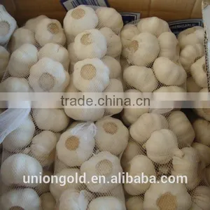 2016 New Crop Natural White Garlic in Purple Mesh Bag thumbnail-2
