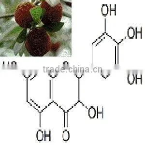 ISO9001/HACCP/Kosher/Halal Dihydromyricetin thumbnail-1