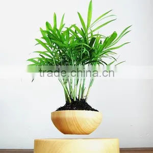Smart Plant Pots Floating Plant Pots Air Bonsai Pots thumbnail-3