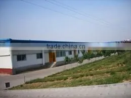 Qingdao Sino-World International Trading Co., Ltd. company overview - view 2 thumbnail