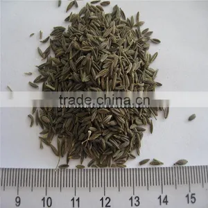Chinese Black Cumin Seeds thumbnail-2