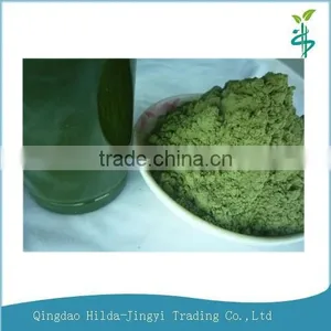 2015 Certified Organic Alfalfa Grass Powder thumbnail-1