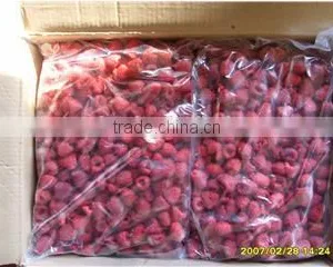 IQF Raspberry thumbnail-3