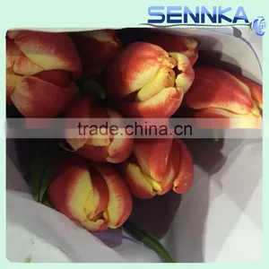 Quality Fresh Cut Flower in China /design Roses/jasmine/decorative Natural Flowers thumbnail-3