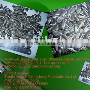 Chinese Sunflower Seeds 5009, 5135 thumbnail-1