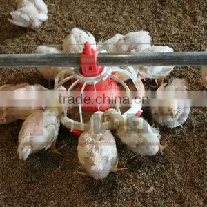Poultry Farm Equipment thumbnail-2