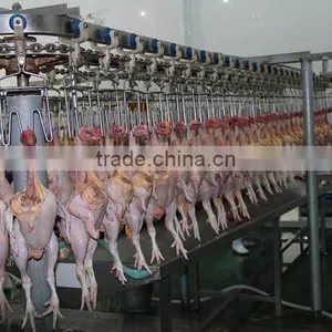 Hot Selling Portable Chicken Broiler Slaughter Line Dressing Line House 008618052092685 thumbnail-6