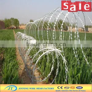 China Manufacturer Cheap Hot Dipped Galvanized Razor Wire in Bulk thumbnail-1