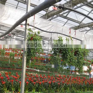 Large Tunnel Galvanized Agricultural Greenhouse for Green Vegetables thumbnail-5
