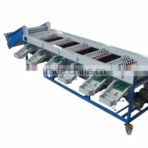 Garlic /Vegetable and Fruit Cleaning and Grading/Sorting Machine thumbnail-1