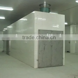 Fruit and Vegetable Tunnel Drying Machine Equipment thumbnail-1
