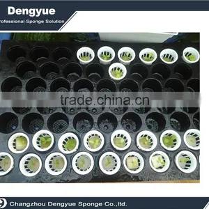 Agricultural Polyurethane High Densuty Vertical Polyurethane Seeding Planting Sponge thumbnail-5