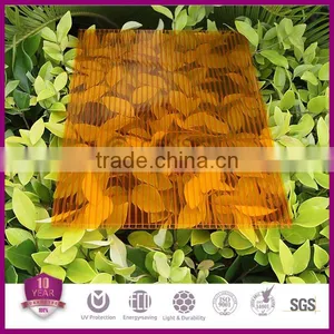 Greenhouse Rooginhg PC Sheet,Polycarbonate Sheets,Hollow Polycarbonate Sheet thumbnail-3