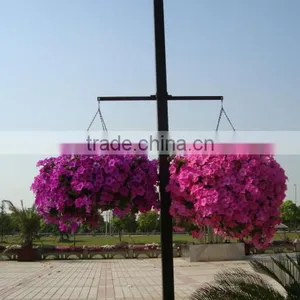 SOL Hydroponics Tiny Garden Planter Easy Fill Hanging Basket Vertical Grow System thumbnail-4