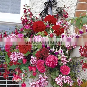 New Design Flower Pots for Sale Christmas Decor Flower Pot thumbnail-6