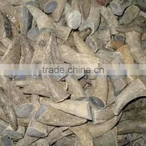 Natural Horn Toggles thumbnail-4