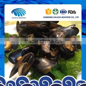 Good Quality Frozen Iqf Whole Mussels on Sale thumbnail-1