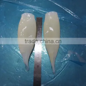 Frozen Illex Argentinus Squid Tube U5/U7/U10 thumbnail-3